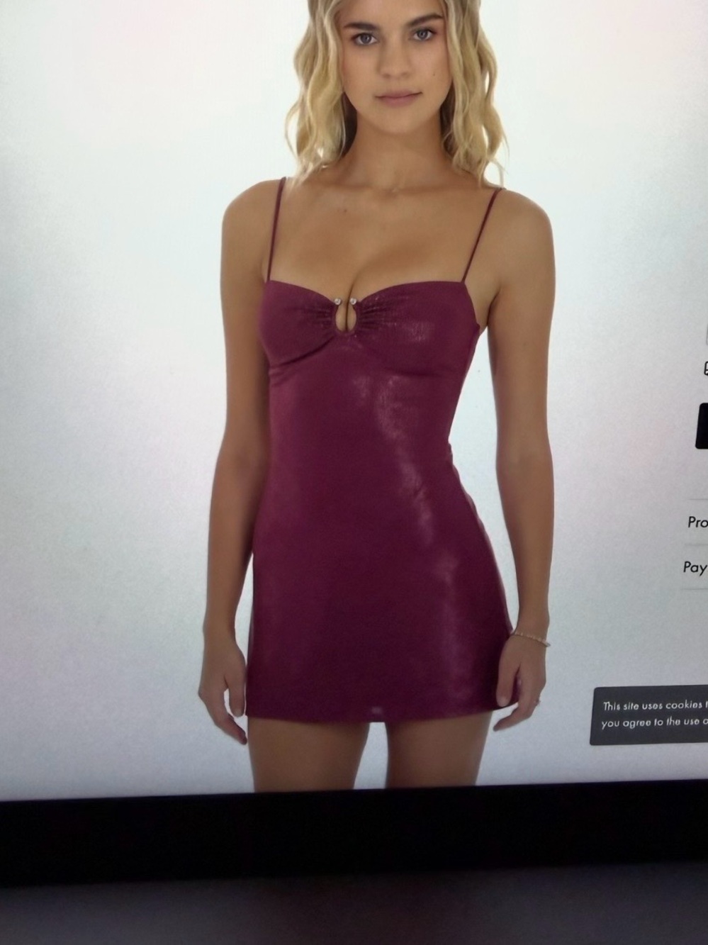 Lucy In The Sky Burgundy Mini Dress